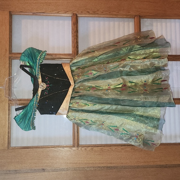 Disney's Princess Anna dress - Picture 1 of 12
